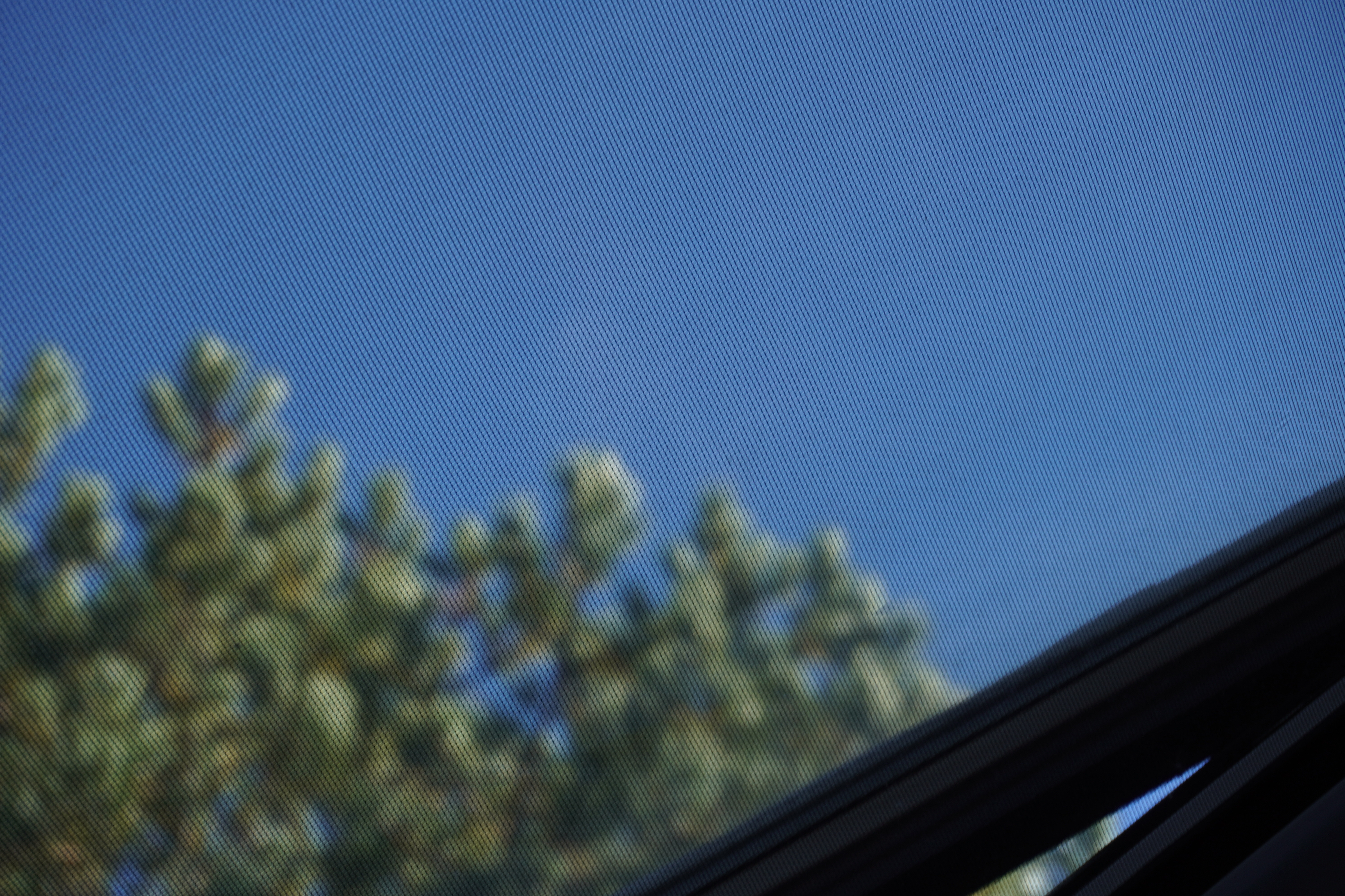 gorgeous saturday sky